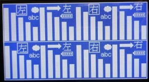 Orient Display: Monochrome TFT LCD Display