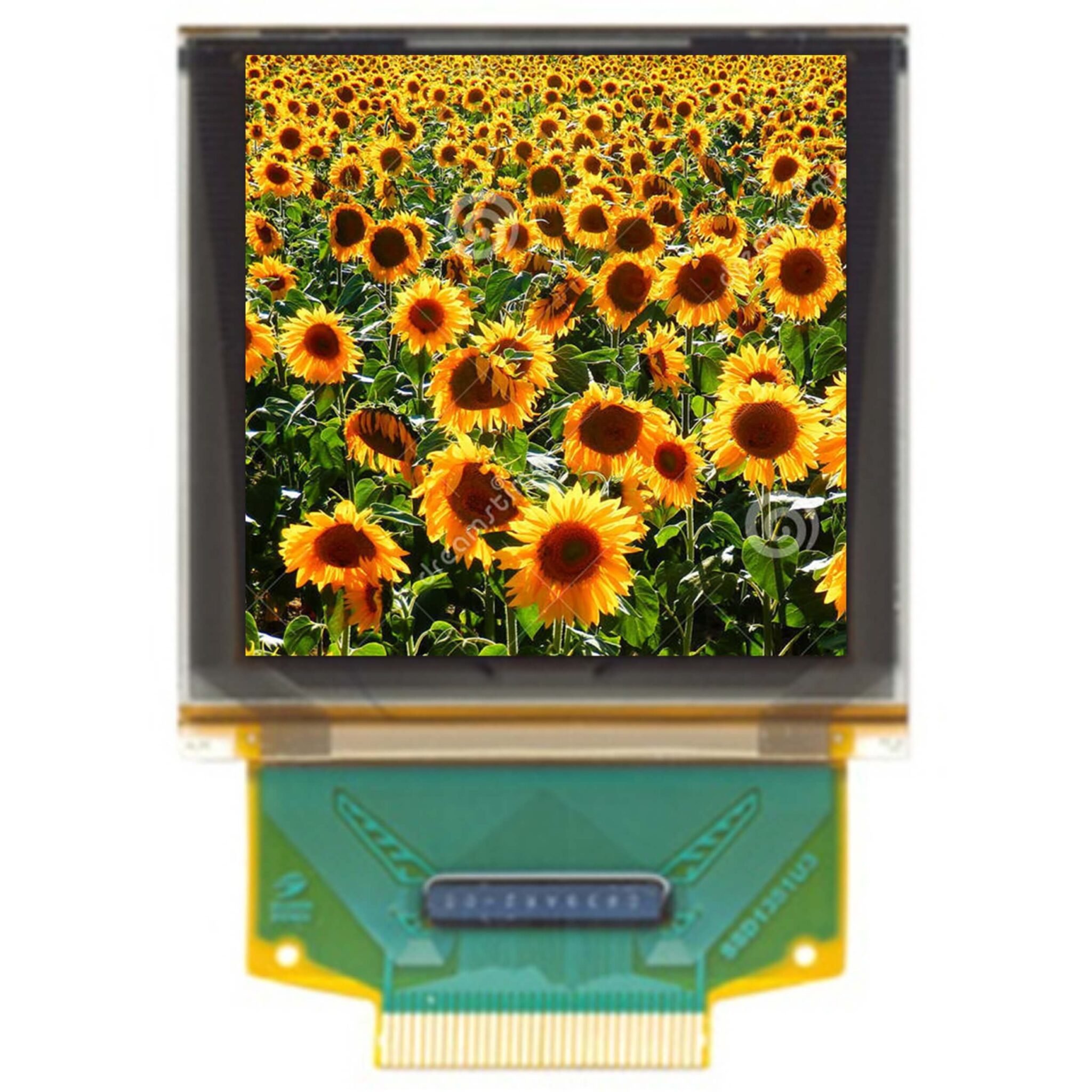oled displays screen door effect