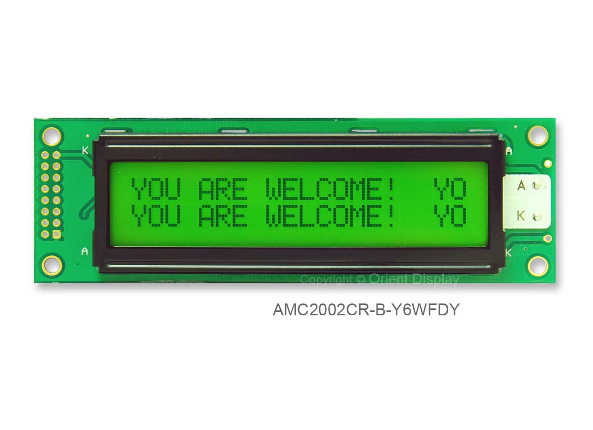 20x2 Character LCD Module AMC2002CRBY6WFDY Orient Display