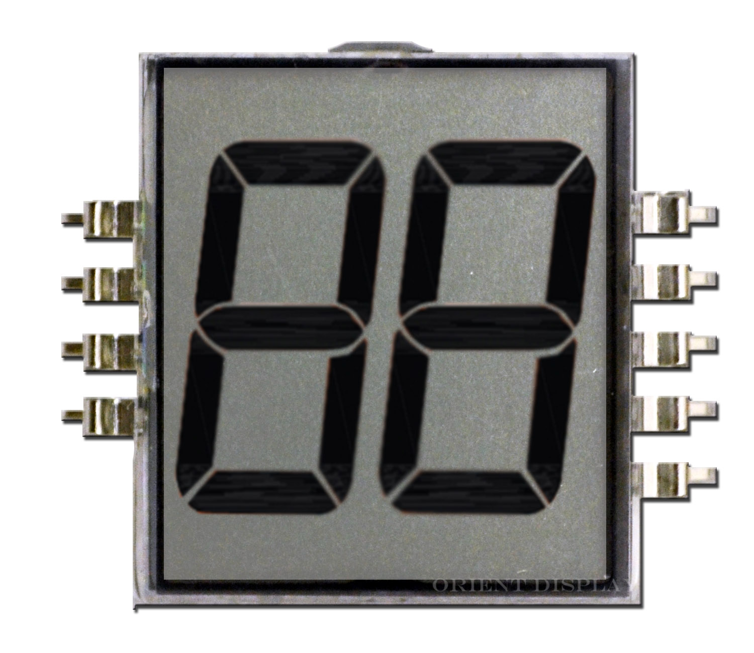 OD202. 2 Digit LCD Glass Panel Orient Display